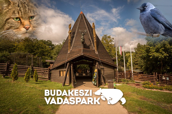Erdei ragadozók, tollas kisbarátok és zümmögő dolgozók – ők mind fontosak a Budakeszi Vadasparkban