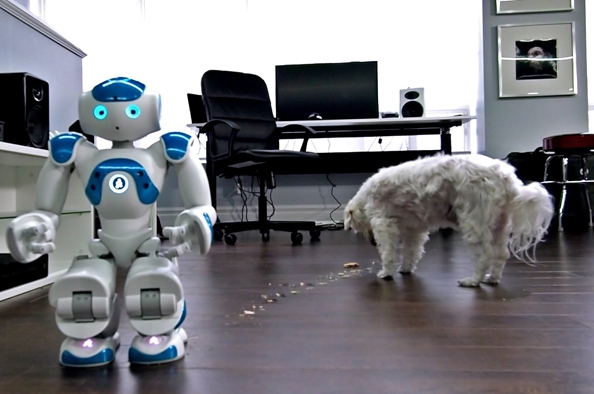 A kutya – a robot legjobb barátja